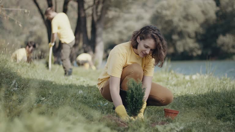 Best Root Management and Removal  in Park Forest, IL