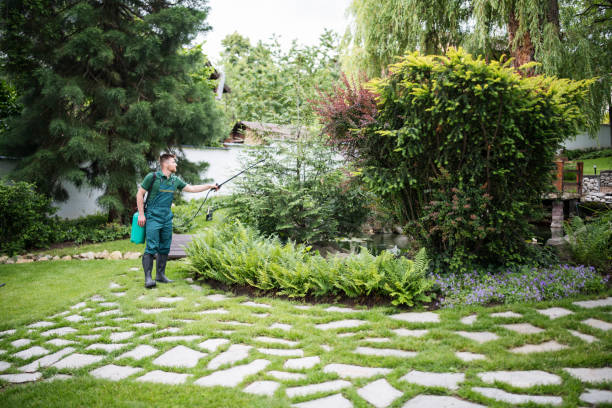 Best Lawn Grading and Leveling  in Park Forest, IL