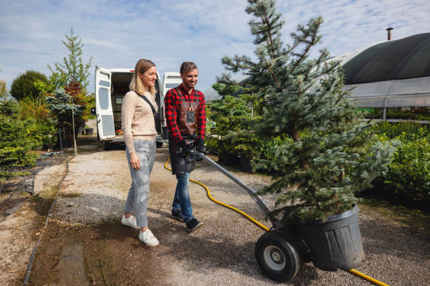 Lawn Watering Services in Park Forest, IL